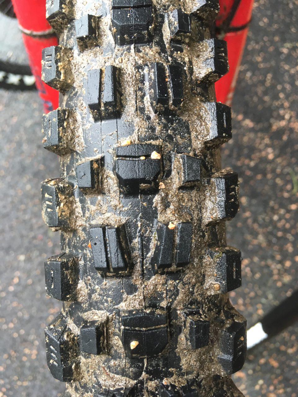 Cubierta Maxxis Assegai DH Casing - 3C Maxx Grip - DH Casing - Wide Trail  - Tubeless Ready - Image 9