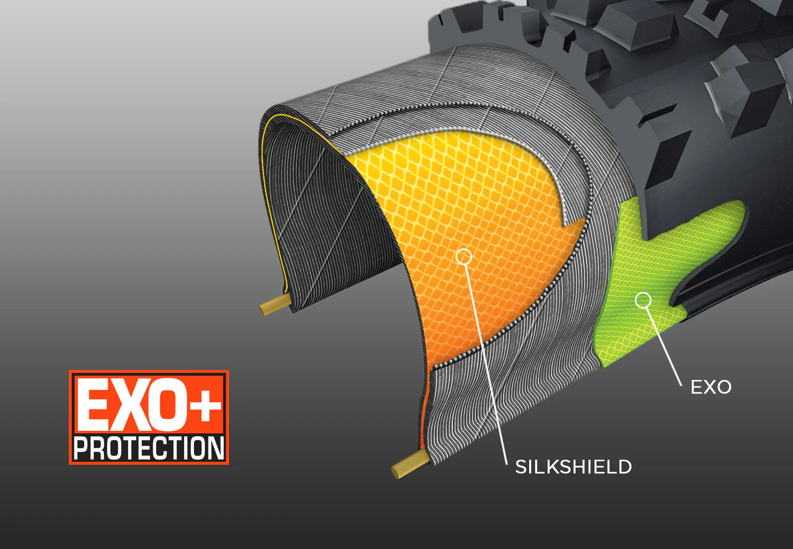 Cubierta Maxxis Minion DHR II EXO+ - 3C Maxx Terra - EXO PLUS Protection - Wide Trail - Tubeless Ready - Image 5